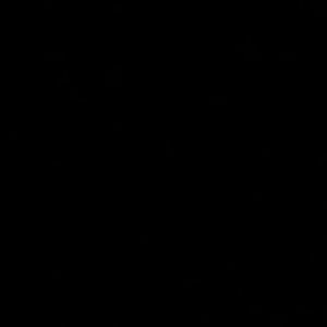 Meet your Posher, Adrian